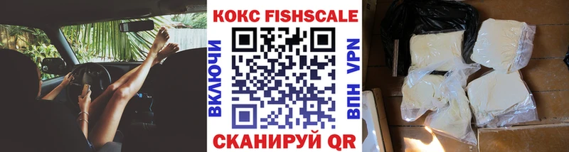Купить закладки  Бузулук  COCAIN Fish Scale 