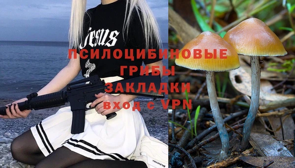 метамфетамин Алексеевка
