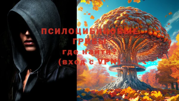 ешки Алзамай