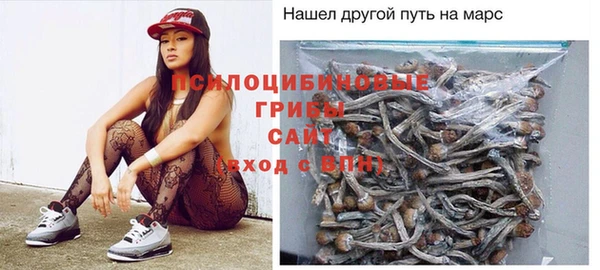 ешки Алзамай