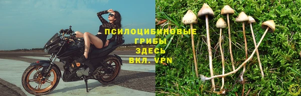 ешки Алзамай