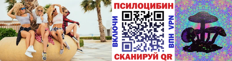 Купить закладки Бузулук Галлюциногенные грибы мицелий
